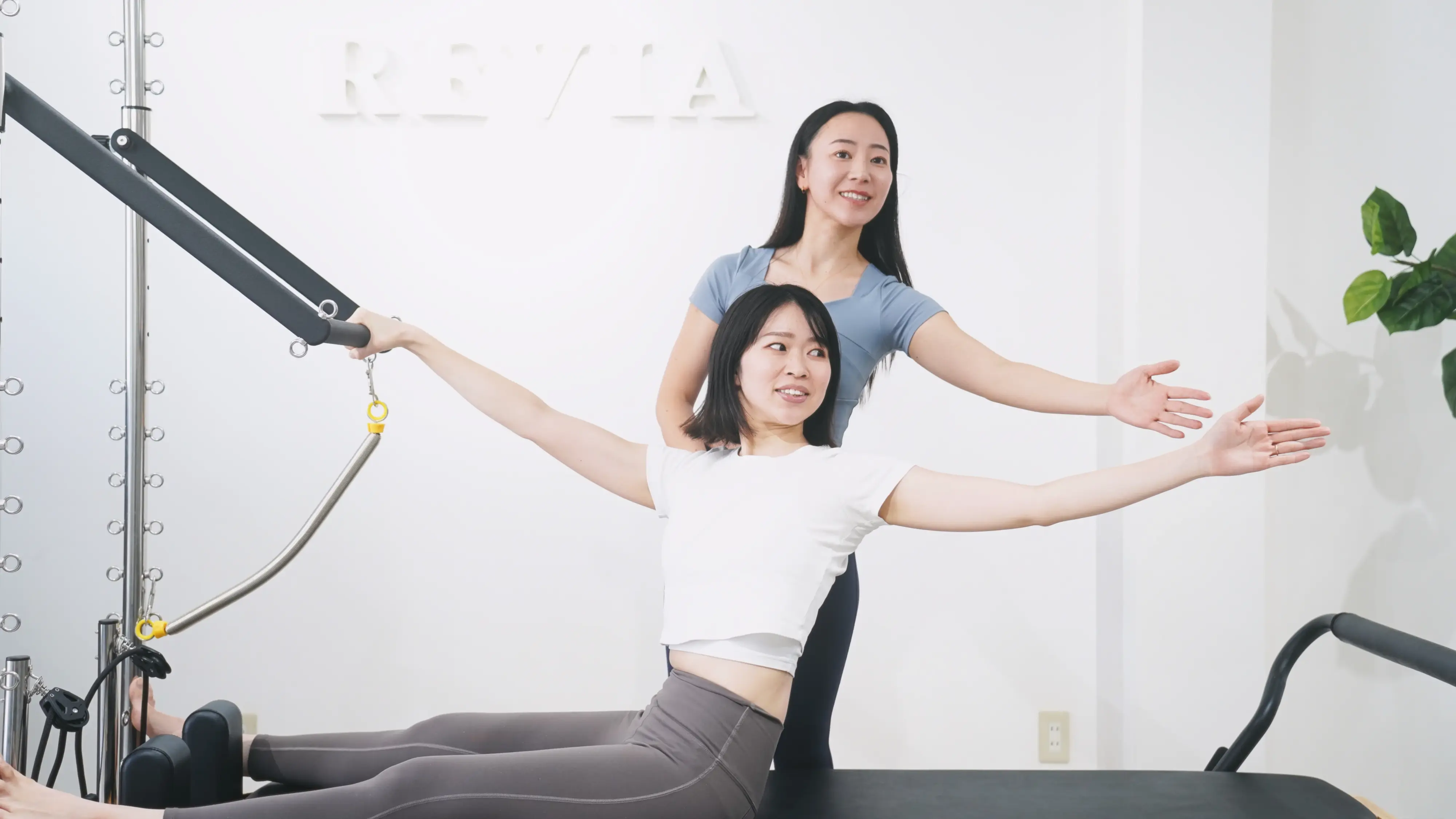 姿勢改善の実績多数